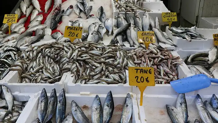 Şehir dışından Samsun'a gelen misafirler kasa kasa balıkla dönüyor