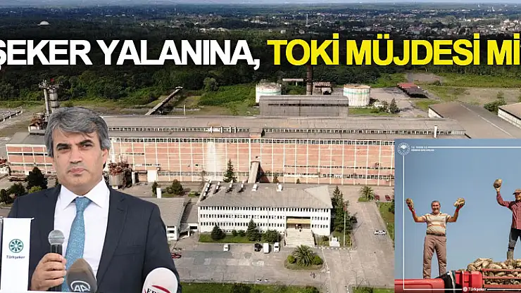 ŞEKER YALANINA, TOKİ MÜJDESİ Mİ?