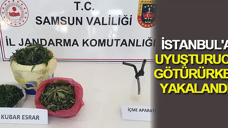 İstanbul'a uyuşturucu götürürken yakalandı