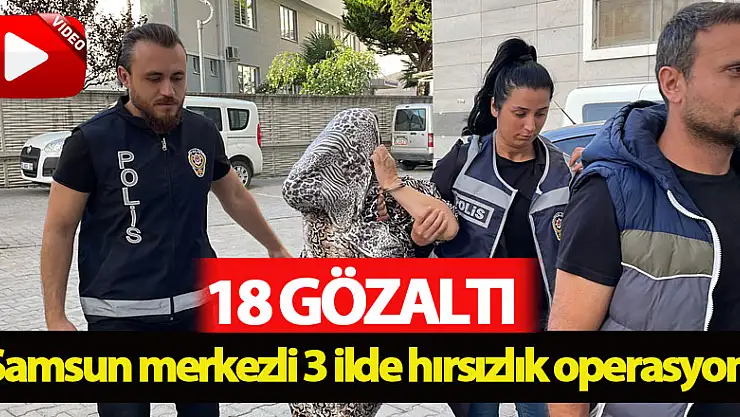 Samsun merkezli 3 ilde hırsızlık operasyonu: 18 gözaltı