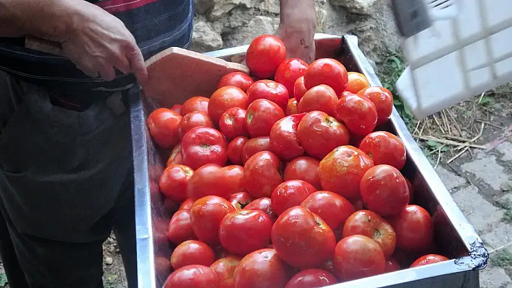 Domatesin fiyatı arttı, salça yapan azaldı
