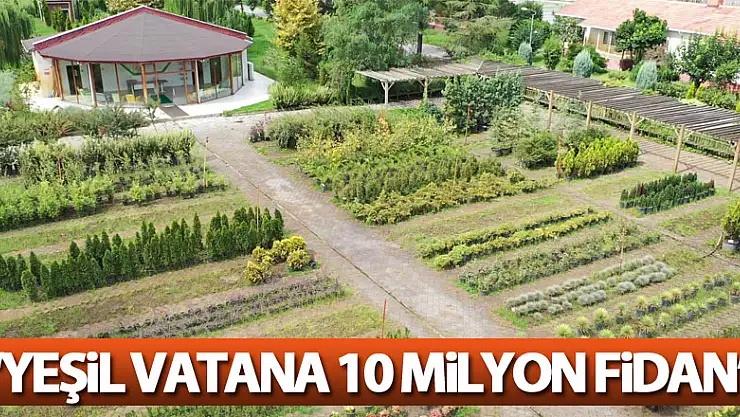 Yeşil vatana 10 milyon fidan