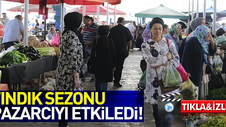 FINDIK SEZONU PAZARCIYI ETKİLEDi!