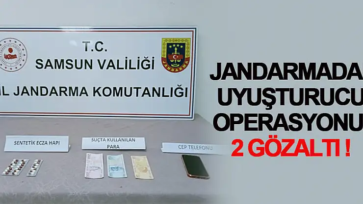 Jandarmadan uyuşturucu operasyonu: 2 gözaltı