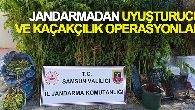Jandarmadan uyuşturucu ve kaçakçılık operasyonları