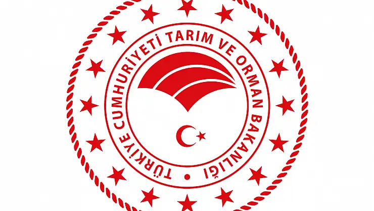 Hazine ve Maliye Bakanlığı, gıda sektöründe faaliyet gösteren mükellefleri inceledi