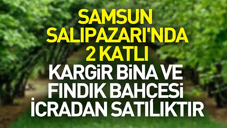 Samsun Salıpazarı'nda 2 katlı kargir bina ve fındık bahçesi icradan satılıktır