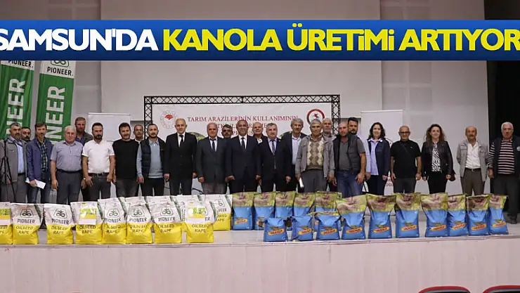 Samsun'da kanola üretimi artıyor