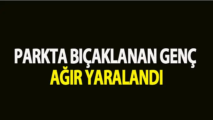 Parkta bıçaklanan genç ağır yaralandı