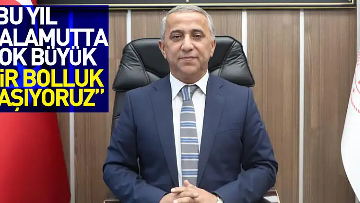 Müdür Sağlam: 'Bu yıl palamutta çok büyük bir bolluk yaşıyoruz'