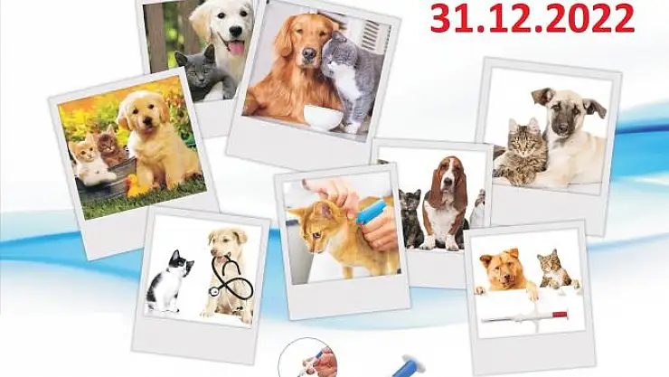 7 bin evcil hayvan mikroçiple kayıt altında