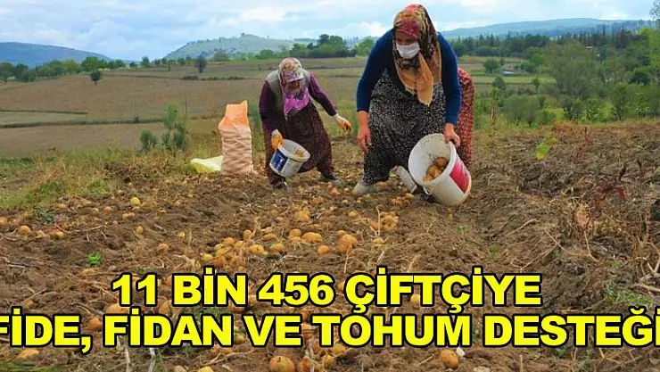 Samsun'da 11 bin 456 çiftçiye fide, fidan ve tohum desteği