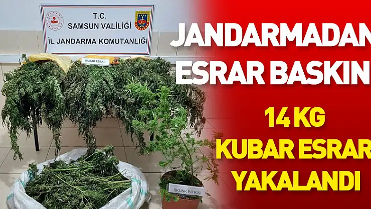 Jandarmadan esrar baskını: 14 kg kubar esrar yakalandı