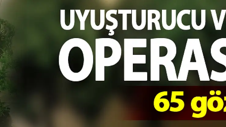 Jandarmadan uyuşturucu ve kaçakçılık operasyonları: 65 gözaltı