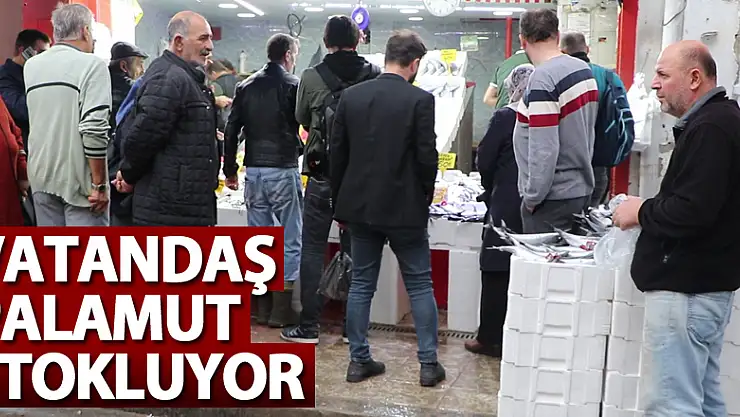 Vatandaş palamut stokluyor