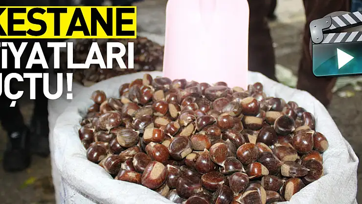Kestane Fiyatları Uçtu!
