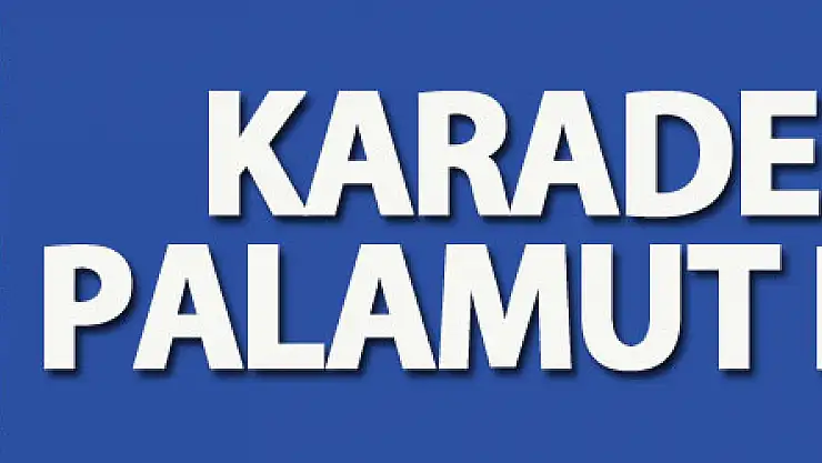 Karadeniz'de palamut bereketi: 3 tanesi 100 TL