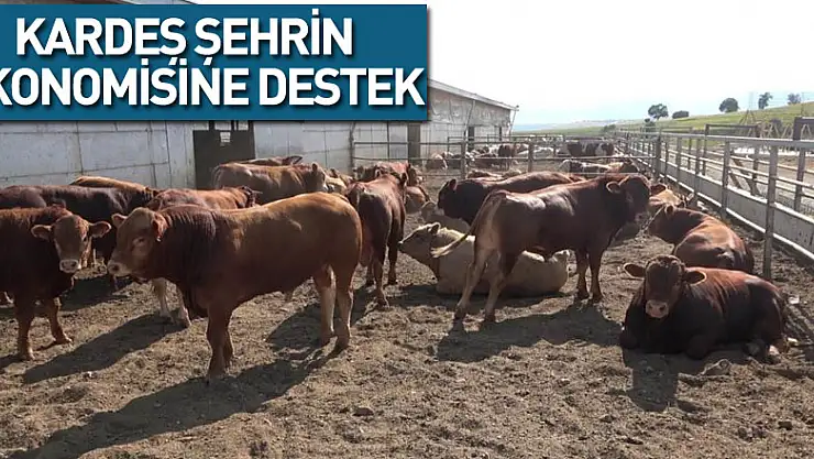 Samsun'dan kardeş şehrin ekonomisine destek