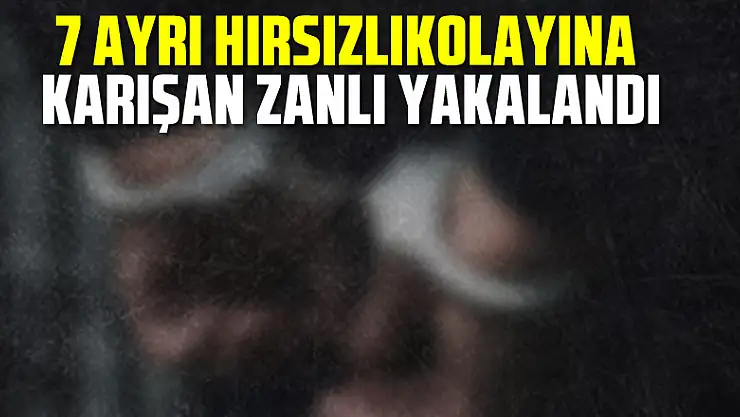7 ayrı hırsızlık olayına karışan zanlı yakalandı