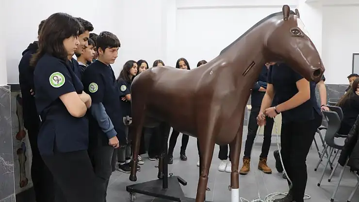 Konuşan maket at ve sığır ile hem eğleniyorlar hem öğreniyorlar