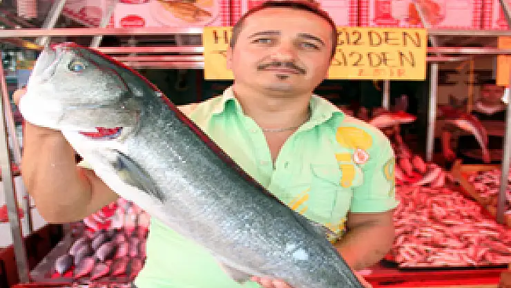 Kayıp Kofana Karadeniz'de çıktı