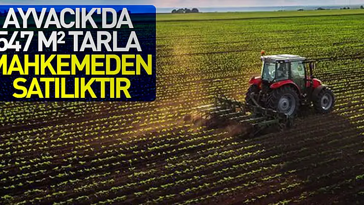 Samsun Ayvacık'da 547 m² tarla mahkemeden satılıktır(çoklu satış)