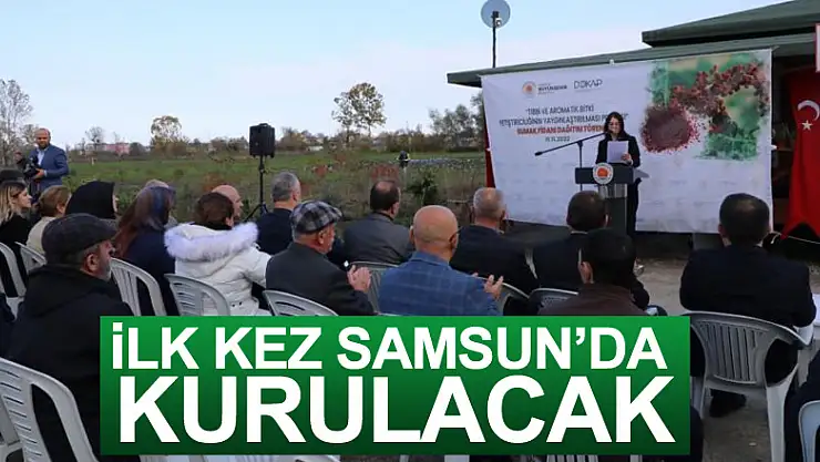 Karadeniz'in ilk 'sumak' bahçeleri Samsun'da kurulacak