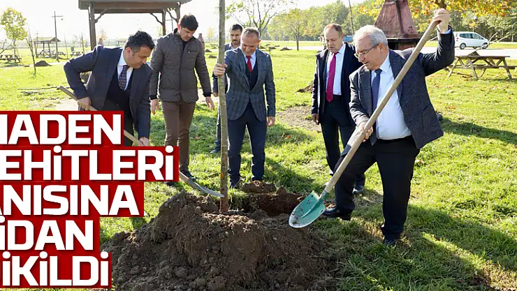 Maden şehitleri anısına fidan dikildi