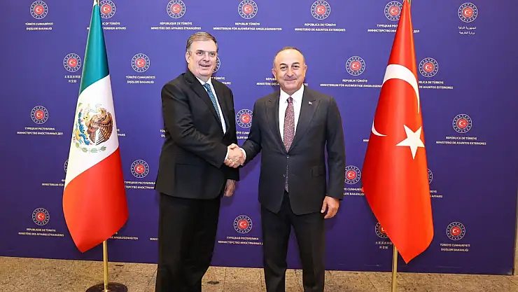 Bakan Çavuşoğlu: 'Türk yüzyılı, Türk baharı başladı'