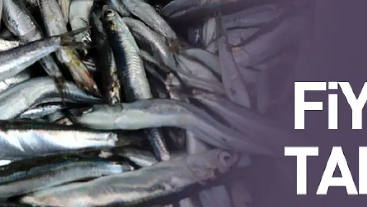 Hamsinin fiyatı düştü, talep azaldı