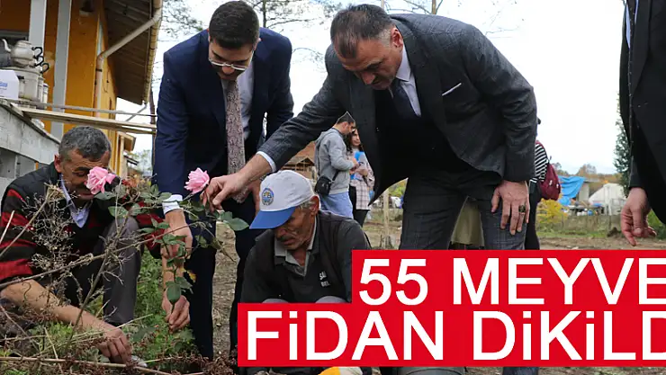 Salıpazarı ilçesinde öğretmenler için 55 meyve fidanı dikildi