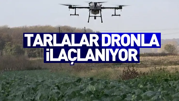Tarlalar dronla ilaçlanıyor
