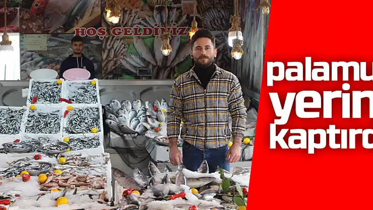 Palamut Yerini Kaptırdı