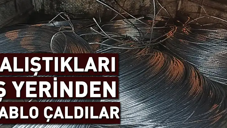 Çalıştıkları iş yerinden kablo çalan şahıslar yakalandı