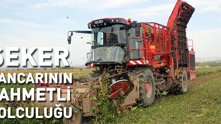 Şeker pancarının zahmetli yolculuğu