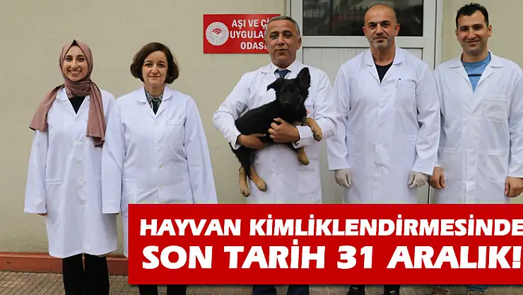 Hayvan kimliklendirmesinde son tarih 31 Aralık