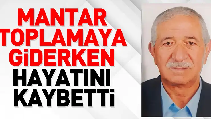 Mantar toplamaya giderken kazada yaralanan yaşlı adam hayatını kaybetti