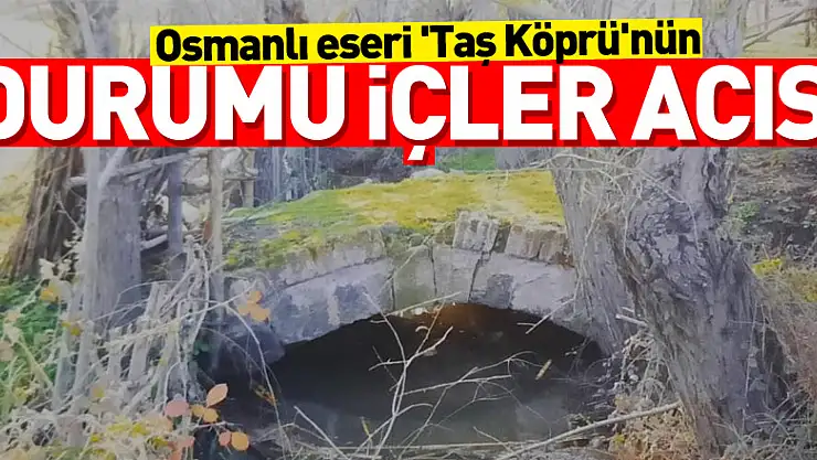 Osmanlı eseri 'Taş Köprü'nün durumu içler acısı