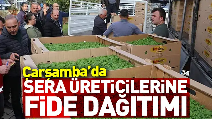 Sera Üreticilerine Fide Dağıtımı