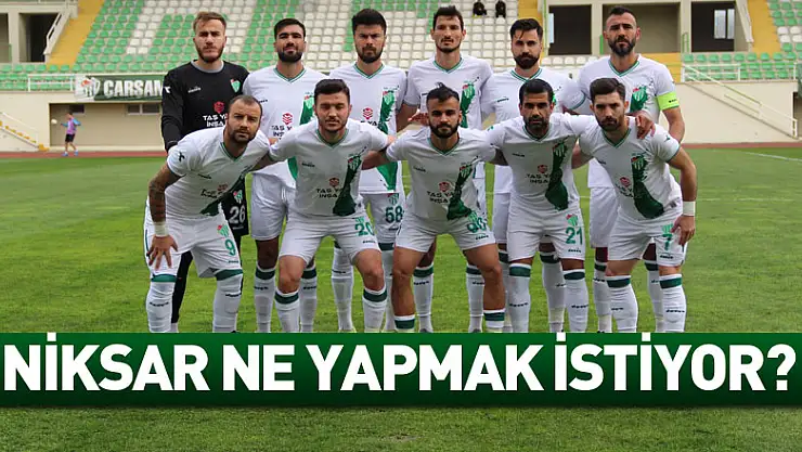 NİKSAR NE YAPMAK İSTİYOR?
