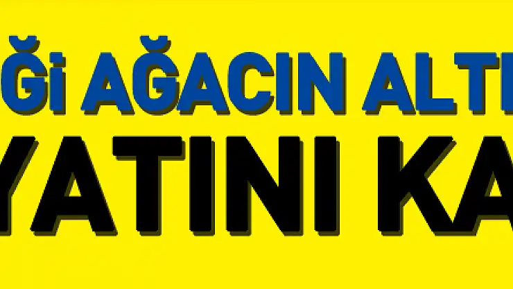 Kestiği ağacın altında kalan yaşlı adam hayatını kaybetti