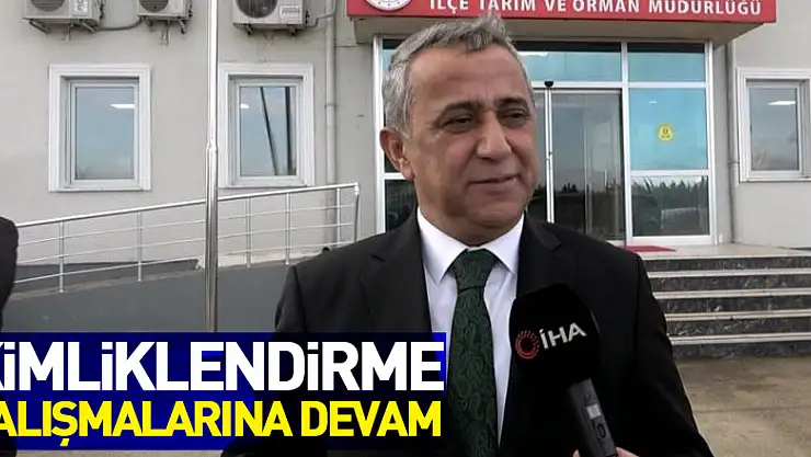 Samsun'da evcil hayvanların kimliklendirme çalışmaları sürüyor