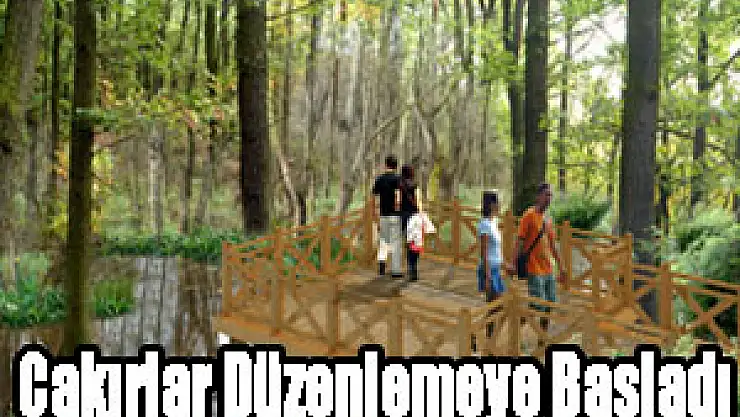 Çakırlar Düzenlemeye Başladı