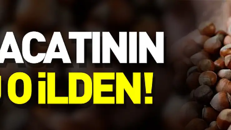 Türkiye'nin fındık ihracatının yüzde 34'ü Trabzon'dan yapıldı