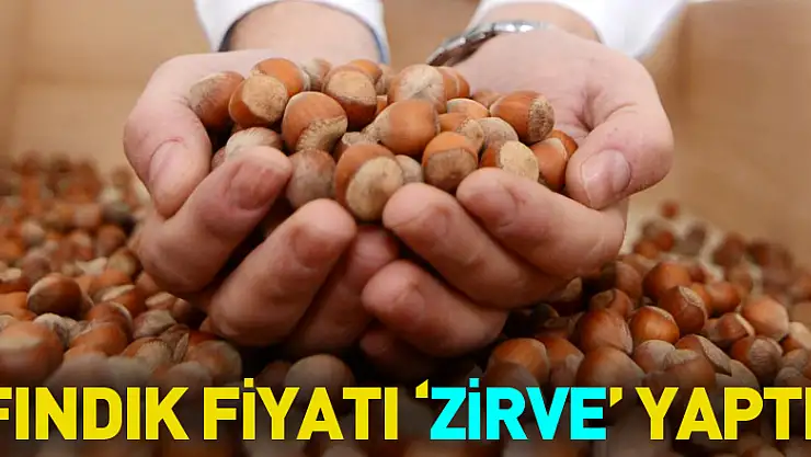 FINDIK FİYATI 'ZİRVE' YAPTI!