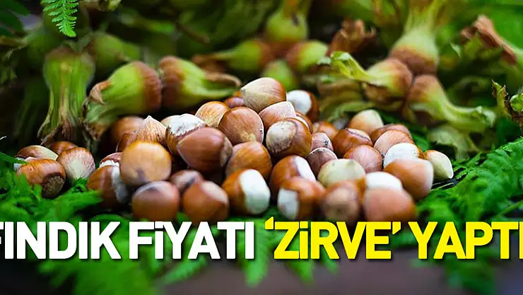 FINDIK FİYATI 'ZİRVE' YAPTI!