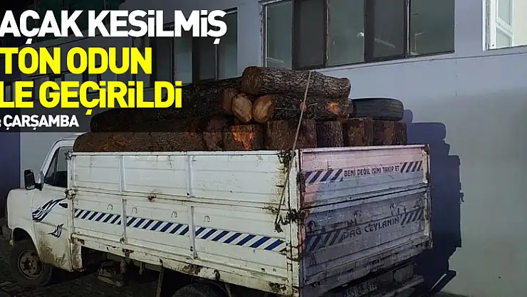 Kaçak kesilmiş 7 ton odun ele geçirildi
