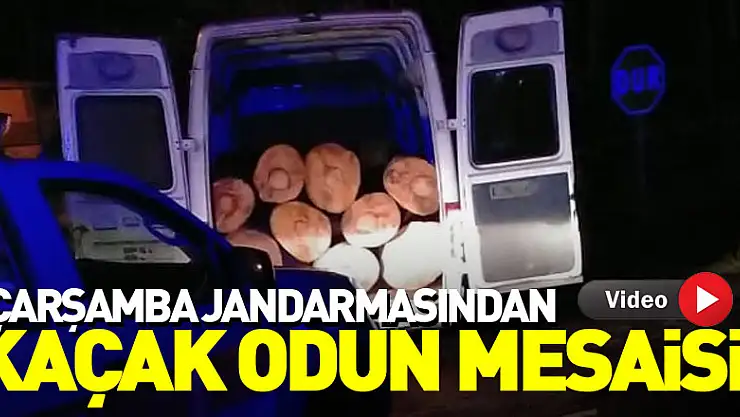Çarşamba jandarmasından kaçak odun mesaisi!