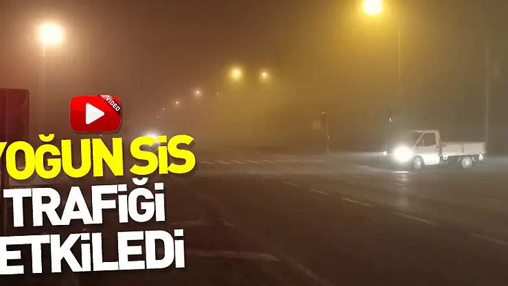 Yoğun sis trafiği etkiledi
