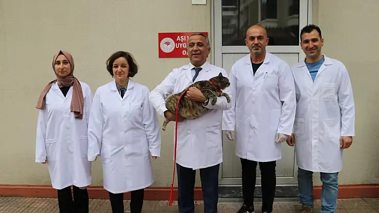 Samsun'da 29 bin 891 evcil hayvan kayıt altına alındı